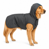 Canes Venatici Raincoat - Grey