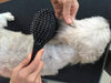 Smarty Pet Double Sided Pin Brush