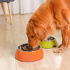 Smarty Pet Stainless Steel & Melamine Anti-Skid Plain Bowl