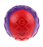 Gigwi Squeaker Solid Ball - Red/Purple