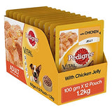 Pedigree Adult With Chicken In Jelly 100g Pouch - Pack of 12