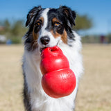 Kong Bounzer Toy