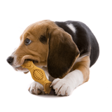 Nylabone Power Chew Fill & Treat Toy - Peanut Butter