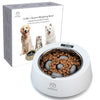 Papifeed Slow Feed Multifunctional Digital Scale Pet Feeder Weighing Bowl