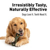 Basil : Fresh Breath 360 Mouth Refreshing Chewy Bites Pack of 6