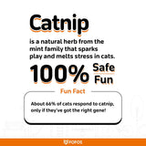 Fofos Sardine Fish Wool Toy For Cat