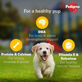Pedigree Puppy Pouch Chicken, Liver & Vegetable Chunks In Gravy