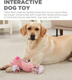 Outward Hound Ranch Roperz Pig Plush Squeaky Dog Toy - Pink