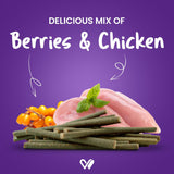 Wiggles : Barkstix Berry Blast – Healthy Dog Treats