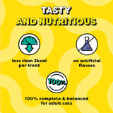 Temptations : Seafood Medley Flavor Cat Treats