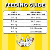 Temptations : Seafood Medley Flavor Cat Treats