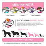 Fofos Pink Flower Crinkle Rope Dog Toy