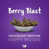 Wiggles : Barkstix Berry Blast – Healthy Dog Treats