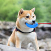 Holypaws Freeze Fetch Food Cooling Teether Ring Chew Toy