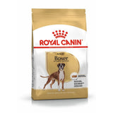 Royal Canin Boxer Adult Dog Dry Food