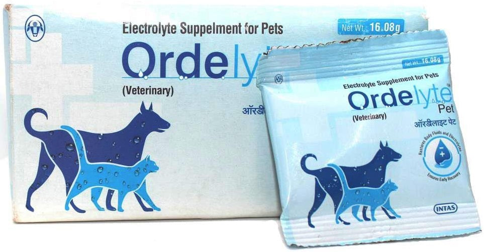 Intas Ordelyte Pet Electrolyte Powder For Dogs & Cats