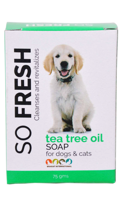 Tea Tree Oil - Soap