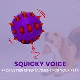 Basil Spike Squeaky Ball Dog Toy