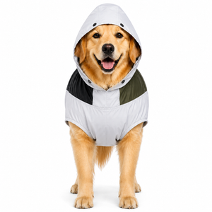 Canes Venatici New Raincoat 2025 (colors may vary)