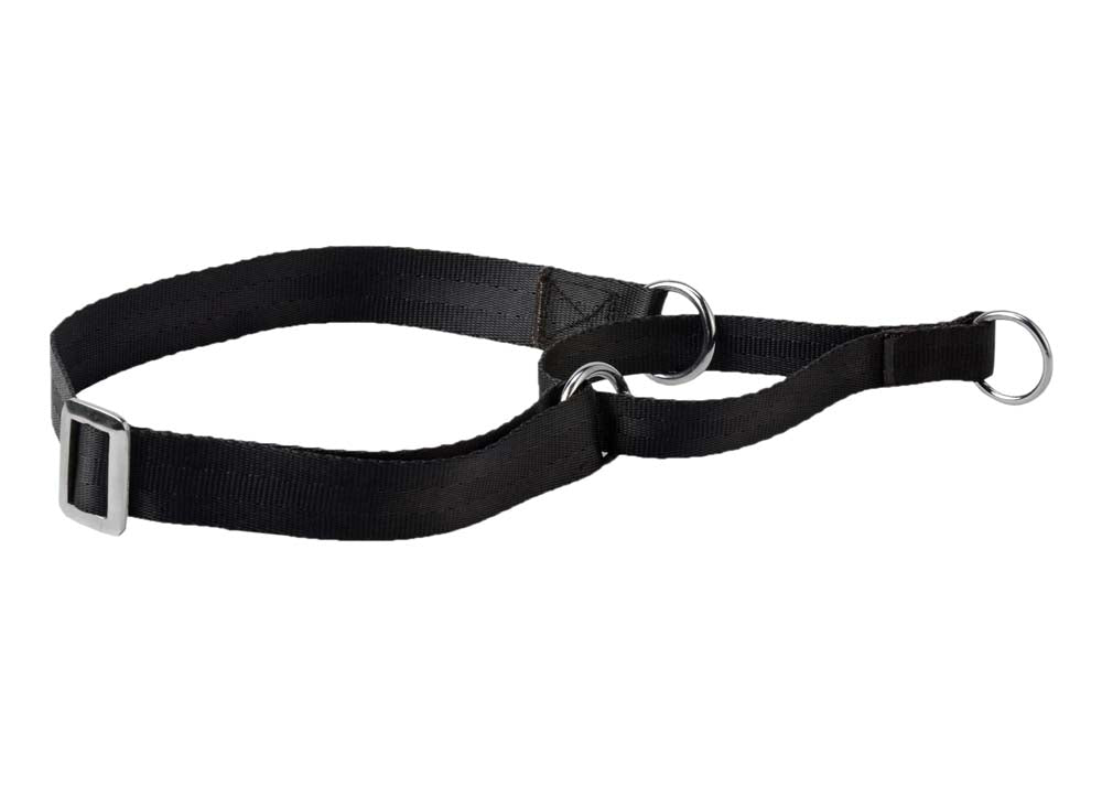 Kennel Nylon Martingale Collar (1 1/4")