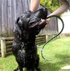 Beaphar Black Coats Aloe Vera Dog Shampoo