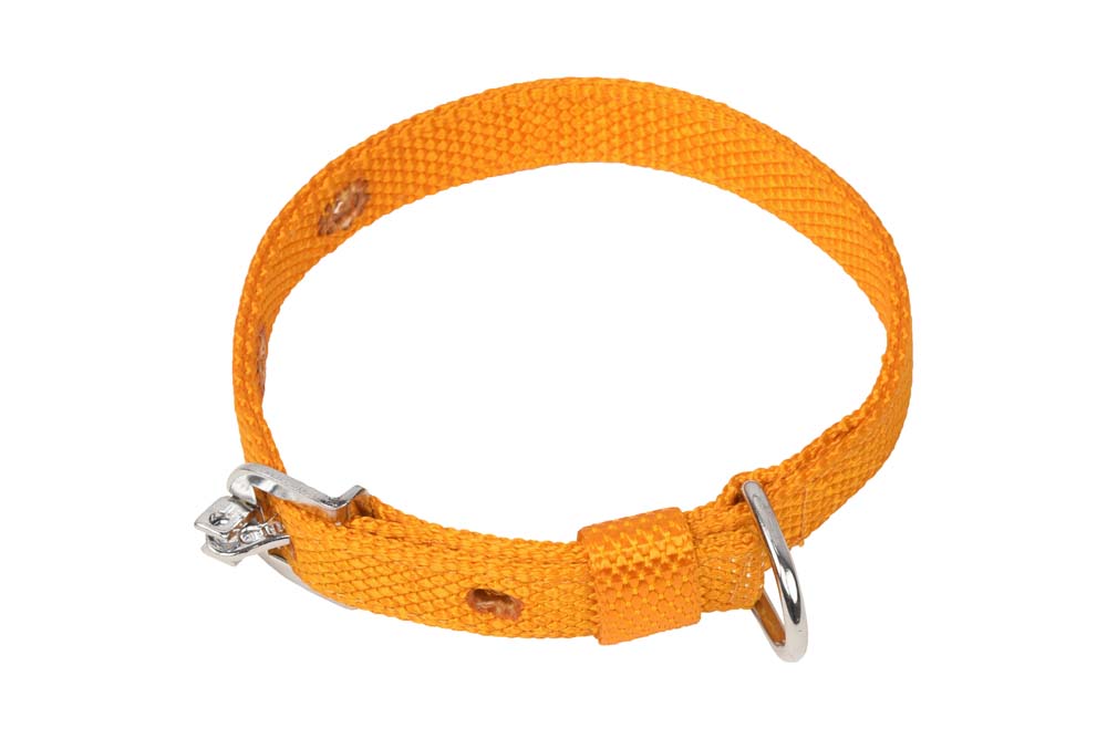 Kennel Nylon Collar (3/4")