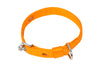 Kennel Nylon Collar (3/4")
