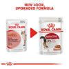 Royal Canin Instinctive Gravy Salsa Sas Cat Pouch