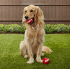 Kong Signature Ball Dog Toy