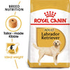 Royal Canin Labrador Retriever Adult Dog Dry Food