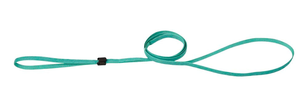 Kennel Nylon Show Lead (T = 12mm)