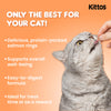 Kittos Salmon Ring Treat Cat