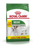 Royal Canin Mini Adult Dog Dry Food (8 + 1 Free Graits)