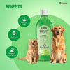 Lozalo 'Apple' Conditioning Shampoo