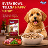 Drools Tuscan Lamb With Basil & Tomato Chunks In Gravy Pouch Buy 5 Get 1 Free