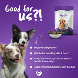 Wiggles : Barkstix Berry Blast – Healthy Dog Treats