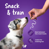 Wiggles : Barkstix Berry Blast – Healthy Dog Treats