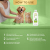 Lozalo Aloe Vera + Tea Tree Oil Shampoo