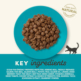 Applaws Ocean Fish With Salmon Adult Cat Dry Food