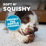 Outward Hound Tootiez Bear Latex Rubber Squeaky Dog Toy