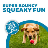 Outward Hound Squeaker Ballz Tennis Multicolor Ball Dog Toy - (Pack Of 4)