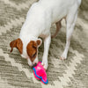 Outward Hound Durablez Pig Plush Dog Toy - Pink