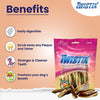 Twistix : Large Wheat-Free Dental Chews – Pumpkin Spice Flavor Dog Treats