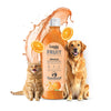 Lozalo Orange Brightening With Shikakai Conditioning Dog & Cat Shampoo
