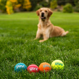 Outward Hound Squeaker Ballz Tennis Multicolor Ball Dog Toy - (Pack Of 4)