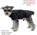 Pawz Dog Coat With Built In Harness