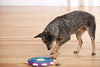 Outward Hound Nina Ottoson Dog Twister Puzzle Level 3