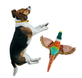 Fofos Pheasant Plush Dog Toy