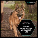 Pro Plan Sensitive Digestion Medium Adult Dog Dry Food