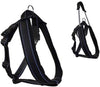 Patento Pet Padded Soft Jockey Dog Harness (Color May Vary)